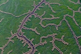 Birds eye view of the veins of the Kati Thanda-Lake Eyre basin river systems