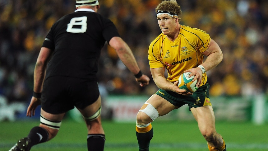 No David Pocock will be a massive blow for the Wallabies' hopes in New Zealand.