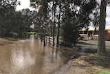 Large puddle of water near a house at Kialla, Victoria