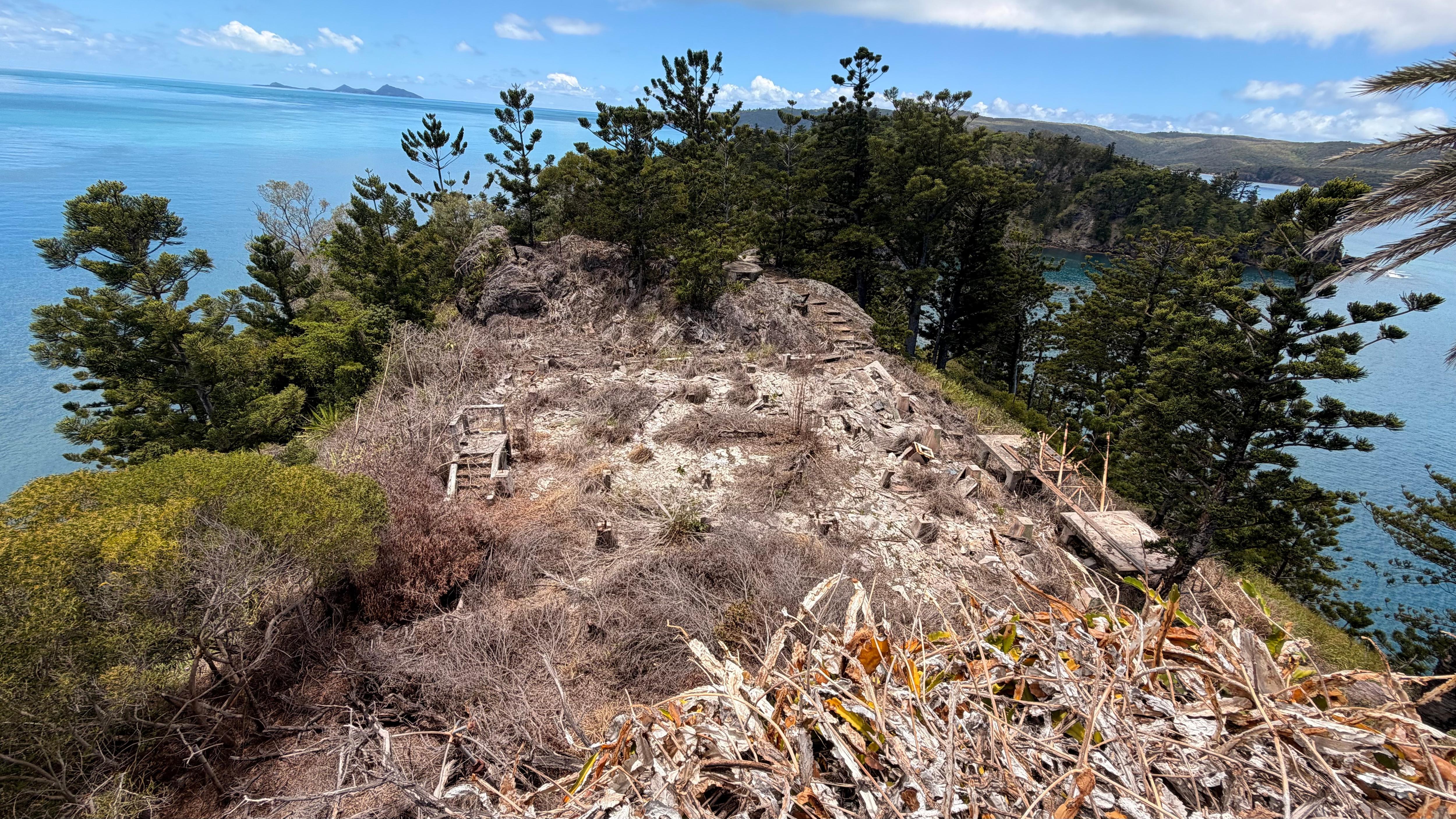 Los restos de escalones y plataformas de madera yacen en un claro cubierto de vegetación seca en la cima de una isla.