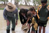 Two adults watch some school kids pour a bucket of small fish into a river.