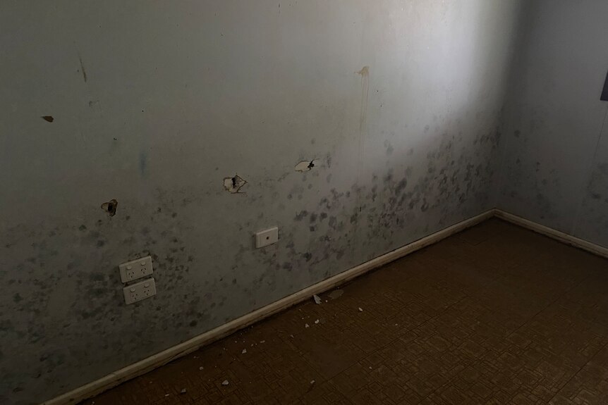 Mould on the wall of Natalie's home
