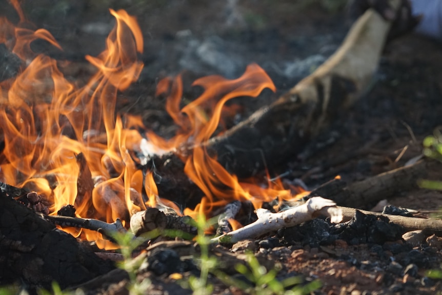 A close-up of a small fire.
