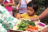 A young boy eating healthy food.