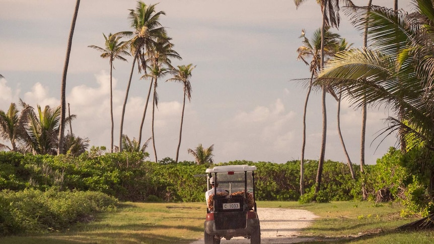 Home Islanders are limited to drivng club cars or quadbikes.