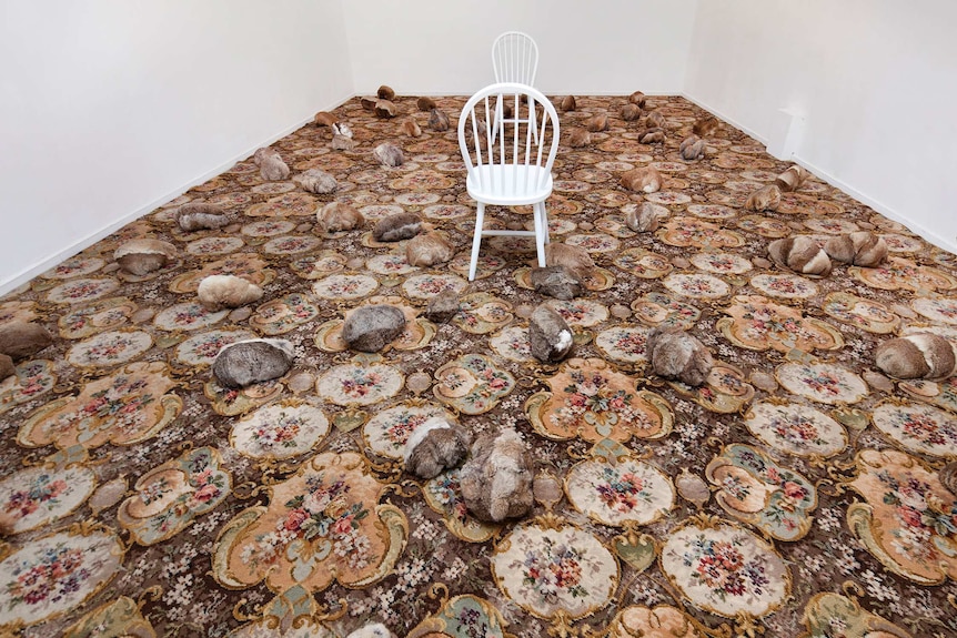 An art installation with carpet, rabbit skins and two white chairs