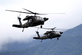 Japanese Ground Self-Defense Force UH-60 Black Hawk helicopters take part in an annual training session.