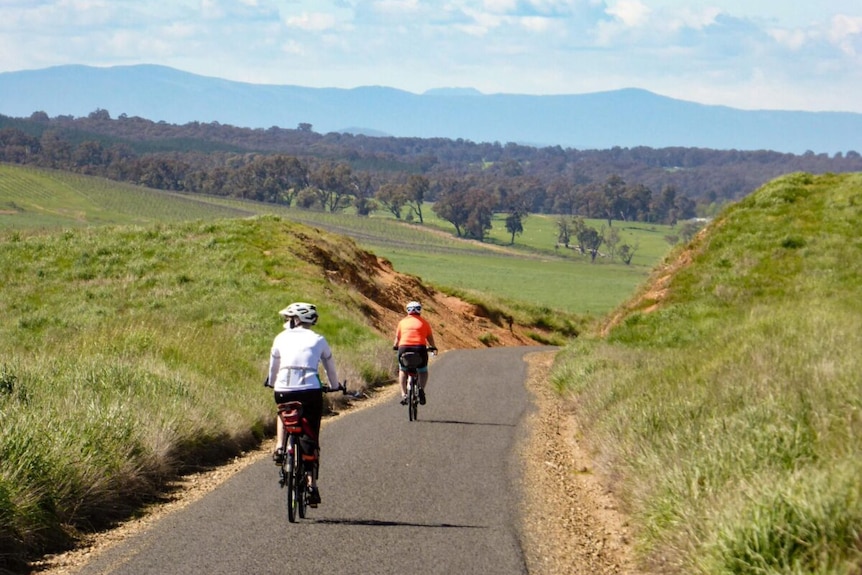 Two cyclists riding on a cycle path