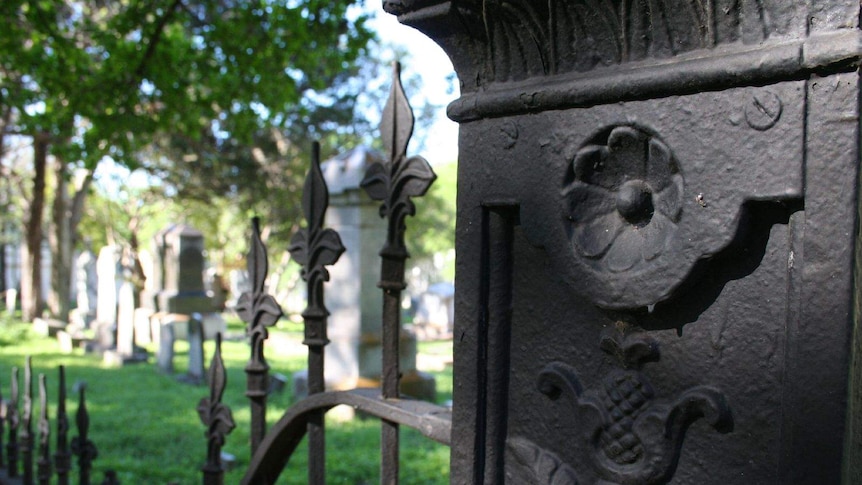 A concrete and iron decorative fence at the edge of a cemetery.