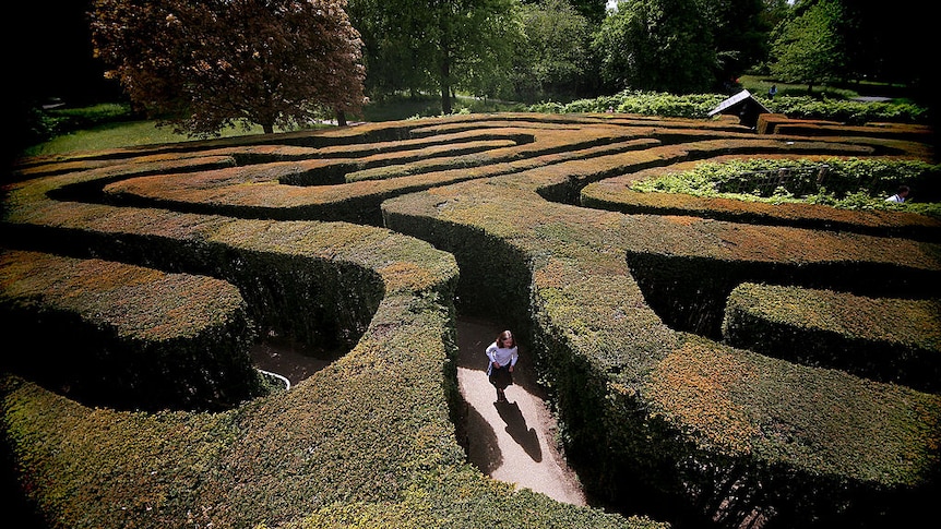 A young girl walks through Hampton Court maze