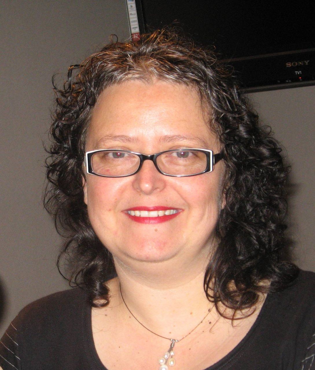 Krissy Kneen discusses writing, blogging and her emerging memoir episode artwork