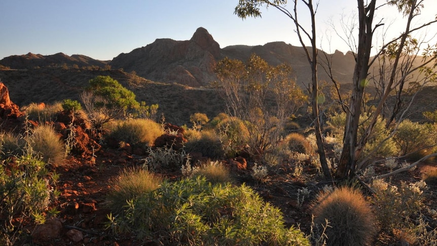 Talks held about the costs Marathon has incurred for Arkaroola exploration work