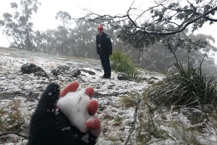 Queenslanders had to cross the border into New South Wales and up Mt Mackenzie if they wanted to see snow