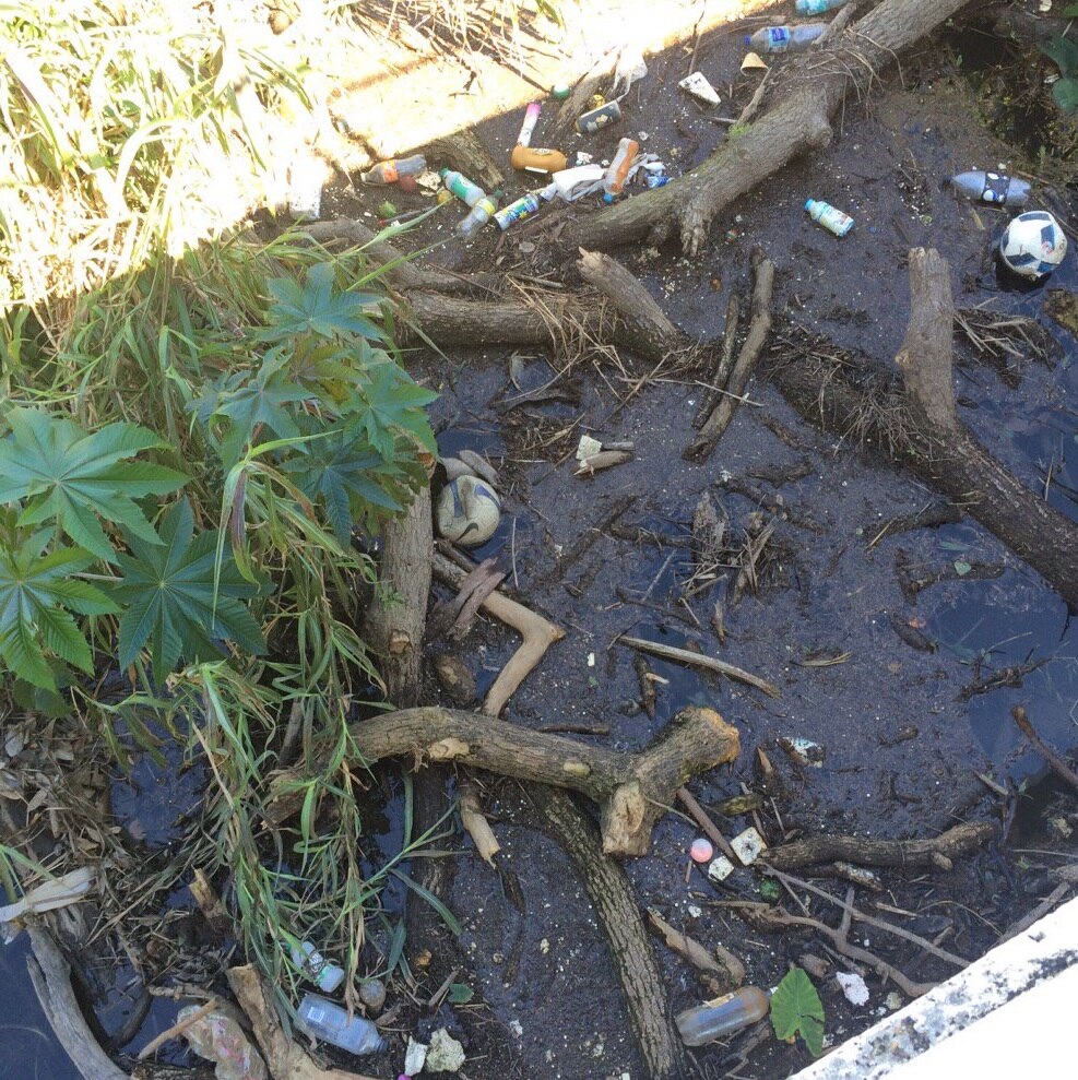 Brisbane City Council struggles as creeks and streams rubbish