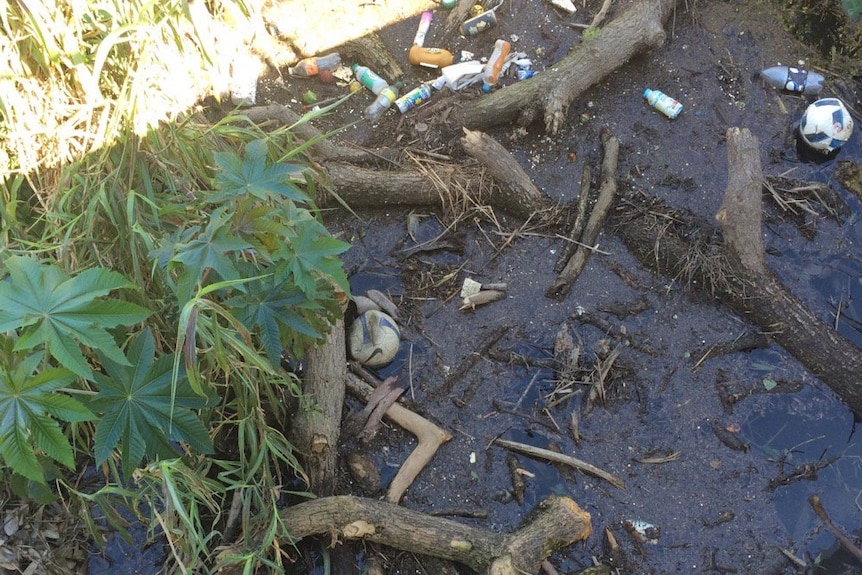 Waterways are a haven for rubbish thrown away by people.