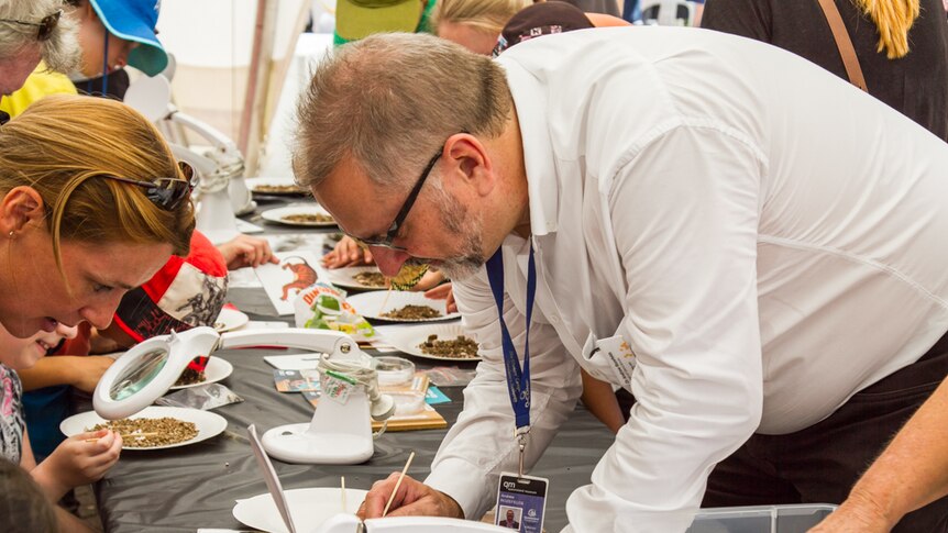 Queensland Museum's Dr Andrew Rozefelds helps visitors find fossils in the rubble at the World Science Festival.