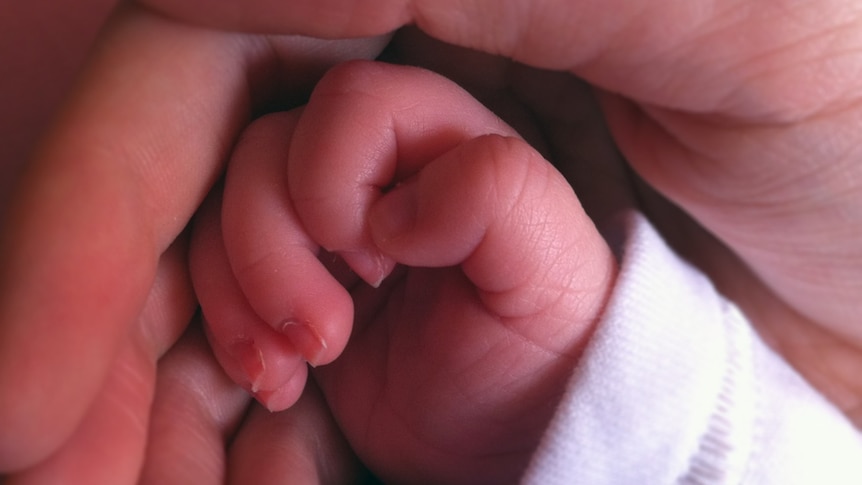 A close-up shot of a newborn baby's hand inside an adult hand.