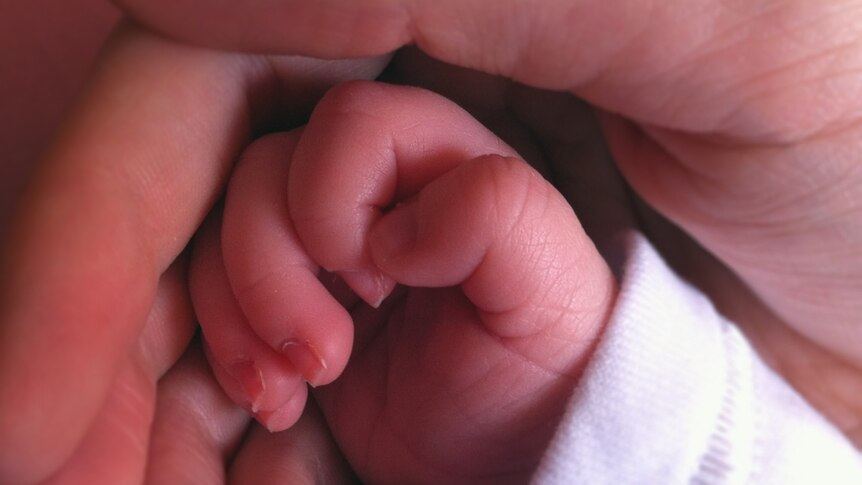 a close up image of a tiny baby's hand inside an adults palm