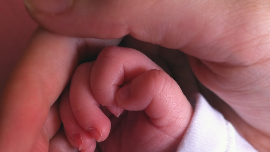 An adult hand holds a baby's hand.