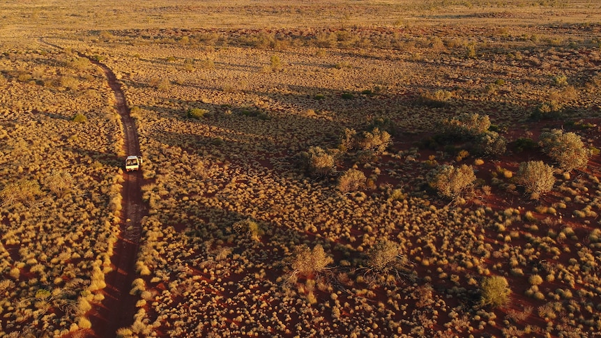 An Australian dry land.