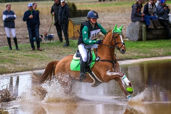 a rider on a chestnut horse gallops into water at Naracoorte SA