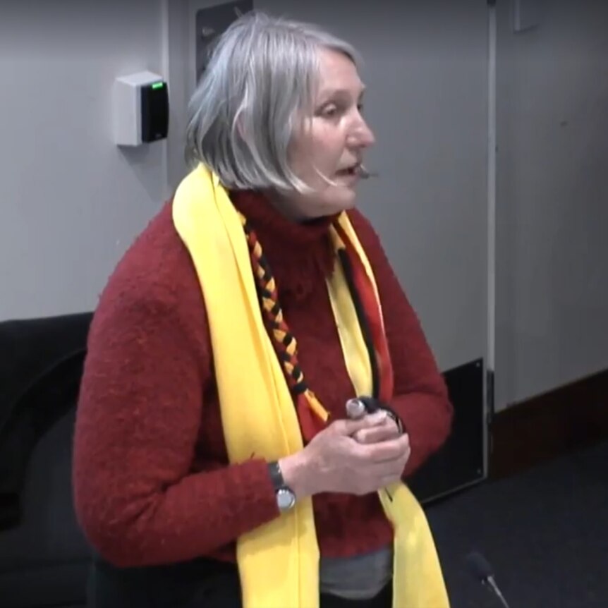 Councillor Sue Bolton wearing an Indigenous scarf.