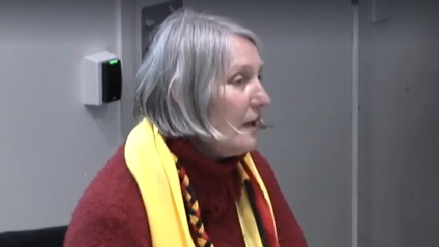 Councillor Sue Bolton wearing an Indigenous scarf.