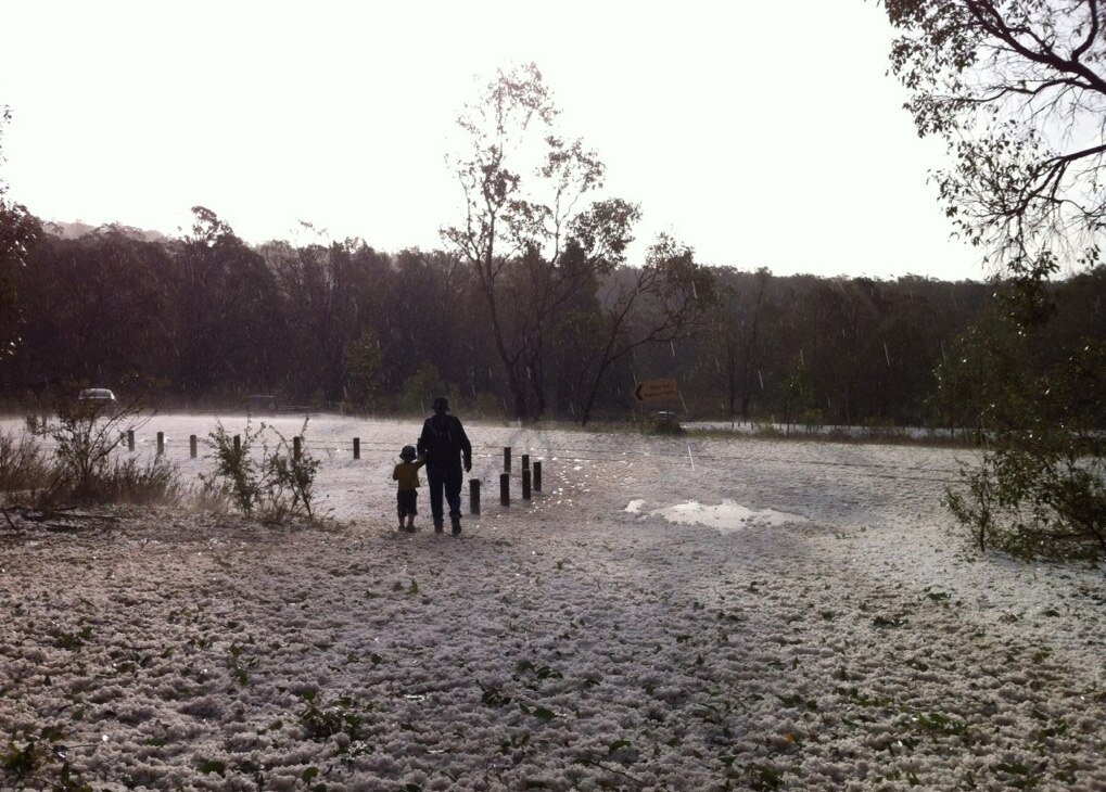 Hail the size of golf balls wreaks damage in south - ABC News