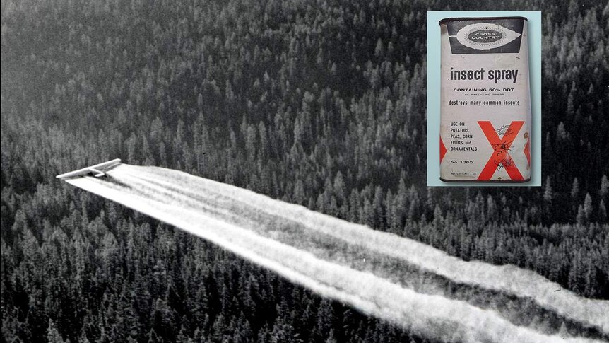 Aerial spraying of DDT in the United States, with a can of DDT.