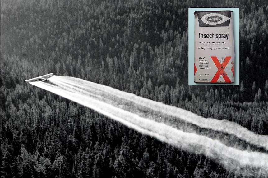 Aerial spraying of DDT in the United States, with a can of DDT.