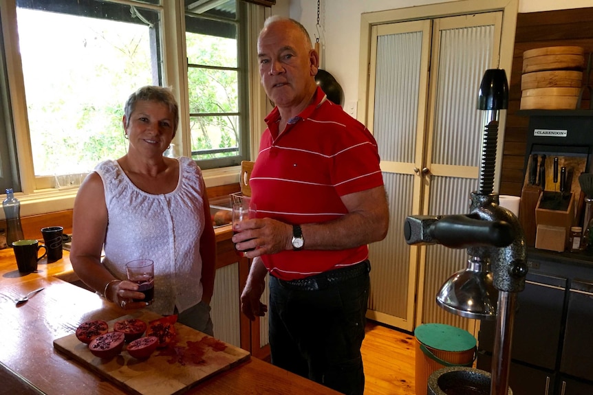 A man and a woman standing in a kitchen, with pomegranates on the kitchen bench.