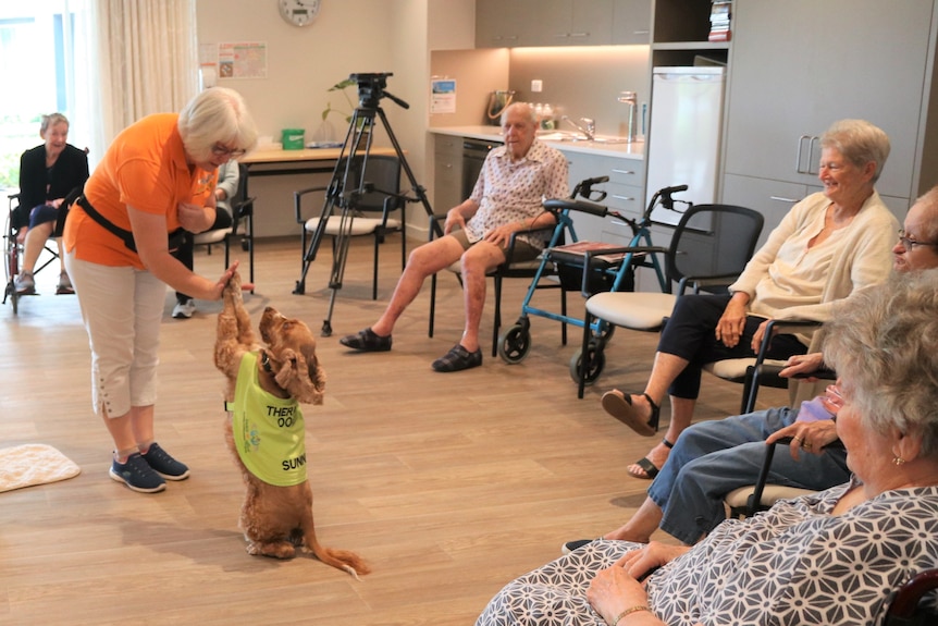 A woman and a dog perform tricks surrounded by elderly people watching on