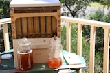 A beehive with an inbuilt honey extractor