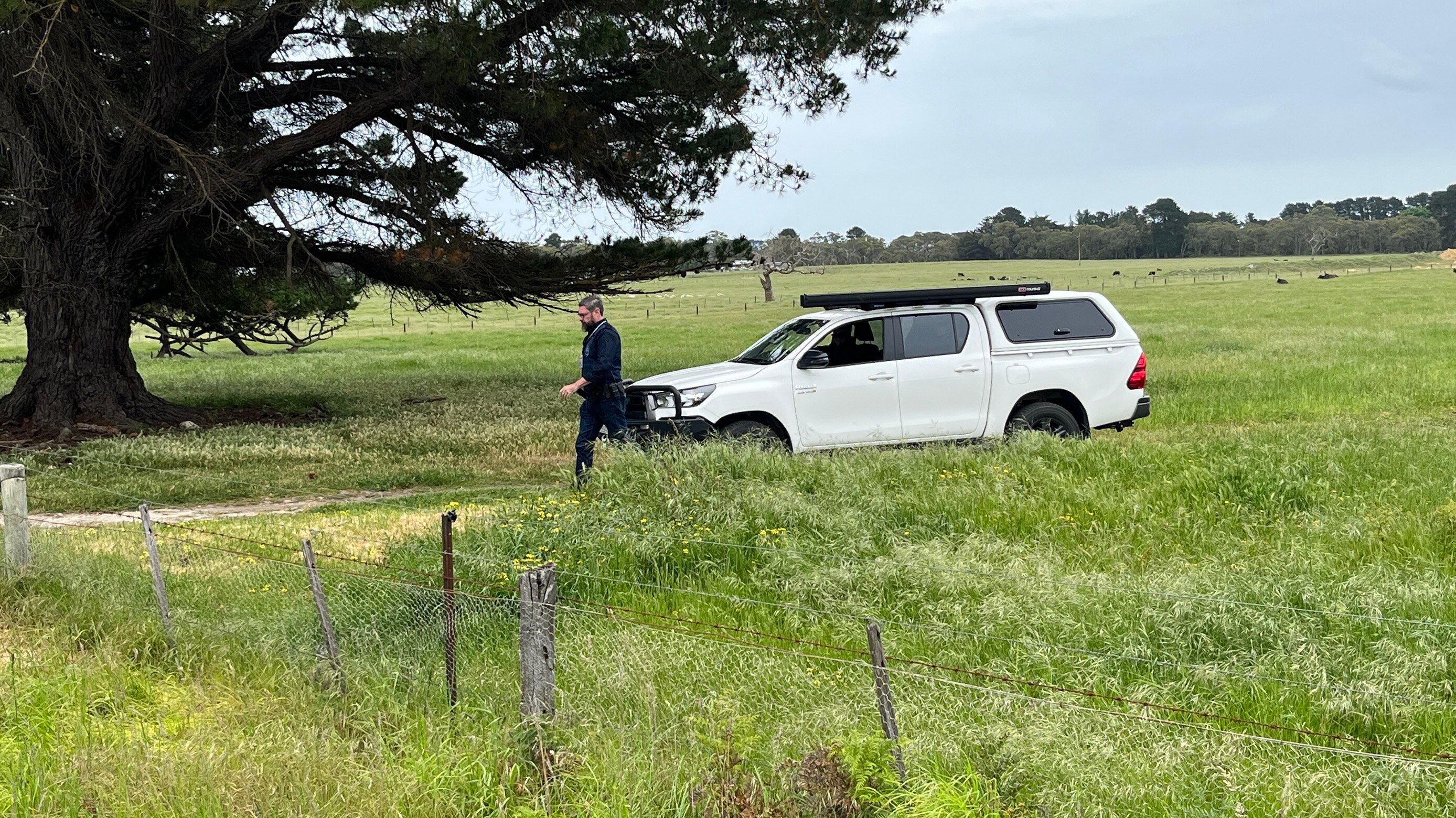 a person walks by a four wheel drive in a paddock