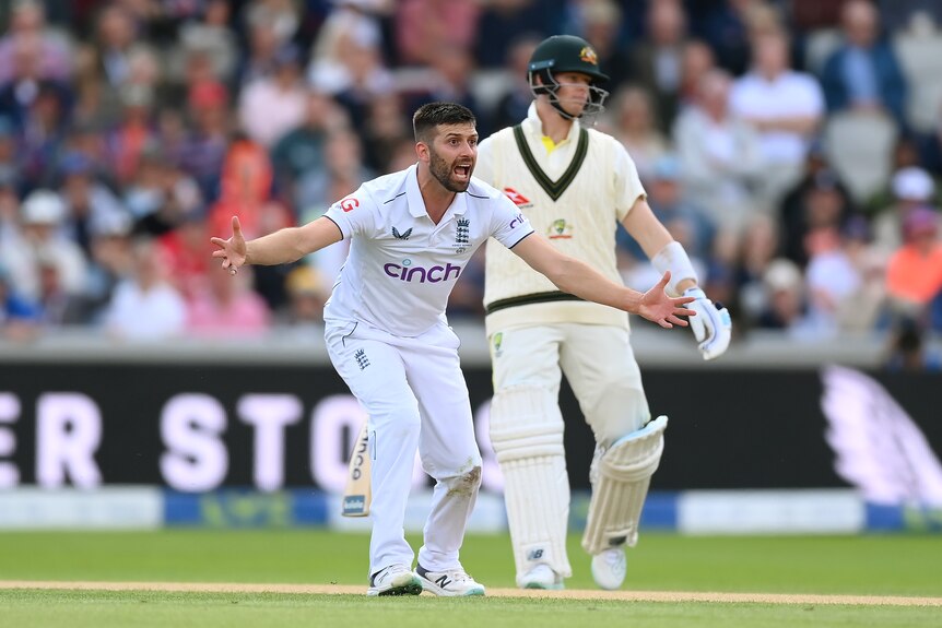 Mark Wood holds his arms out and pleads for a wicket while Steve Smith stands behind him