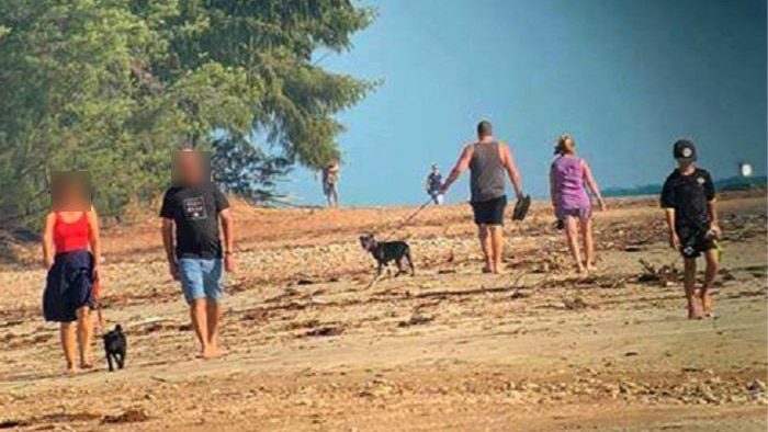 Telescopic image of dogs walking on bird beach.