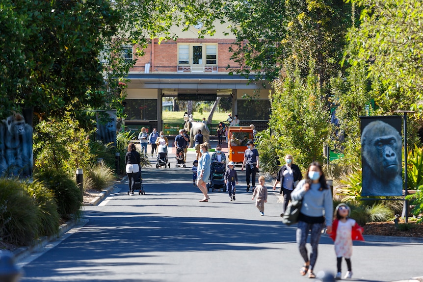 People at Melbourne Zoo after lockdown