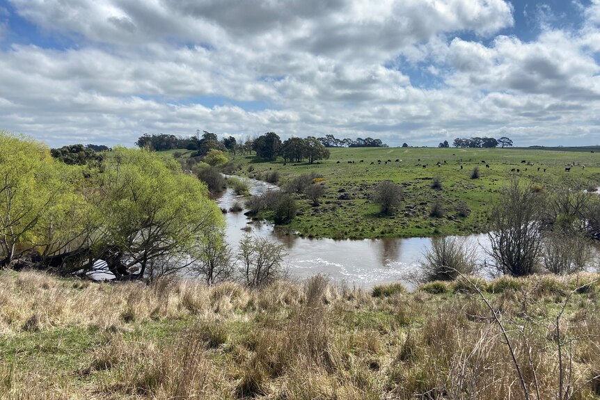 A photo of a river on a rural property 