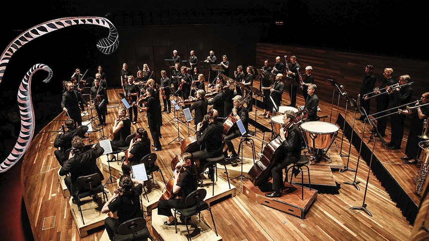 Richard Togetti conducts the players of the Australian Chamber Orchestra on the stage of Hamer Hall