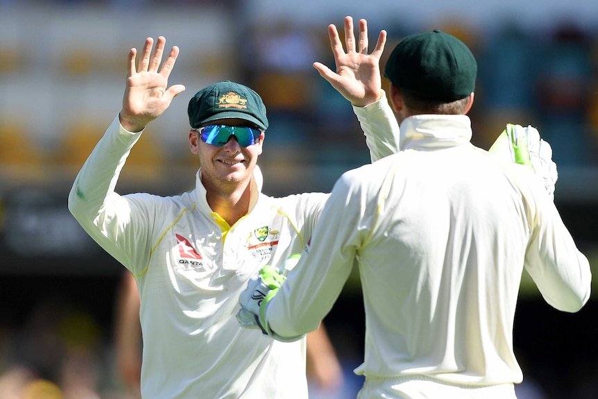 Australian players celebrate a wicket on day four at the Gabba