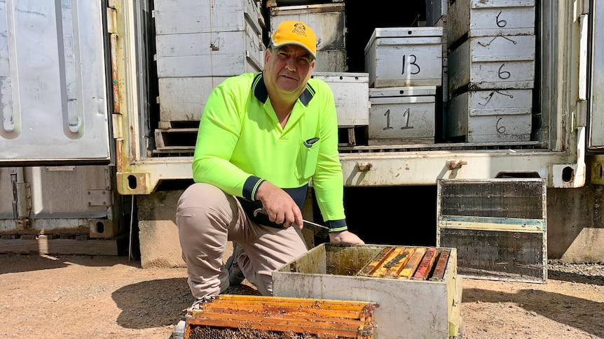 A man wearing a high vis shirt crouches next to a bee hive.