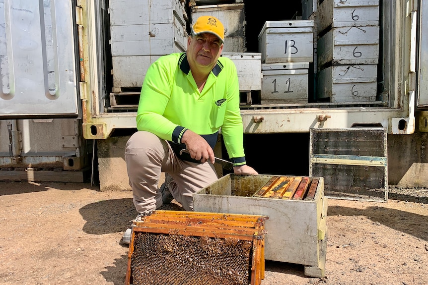 A man wearing a high vis shirt crouches next to a bee hive.