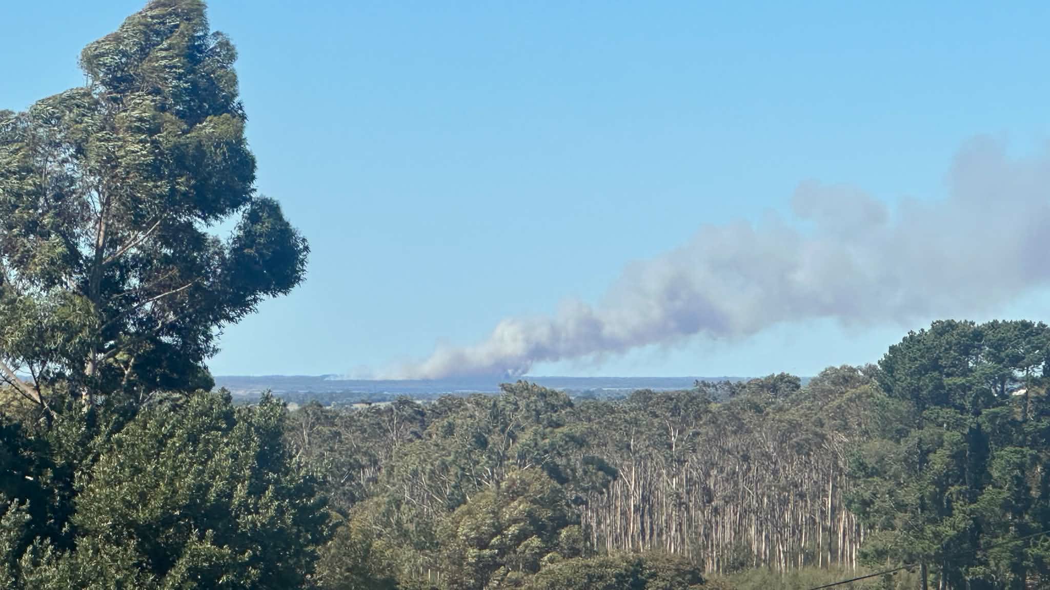 Smoke rises from the horizon in the distance over a forest of trees.