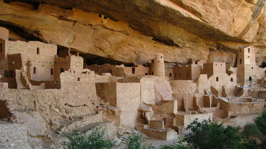 A wide shot of ancient ruins of the Cliff Palace, which looks like a network of stone structures under a large rock shelf