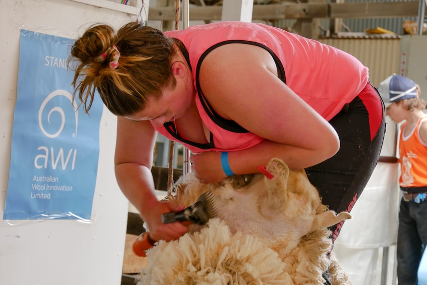 A woman in a pink tank top holds onto a sheep.