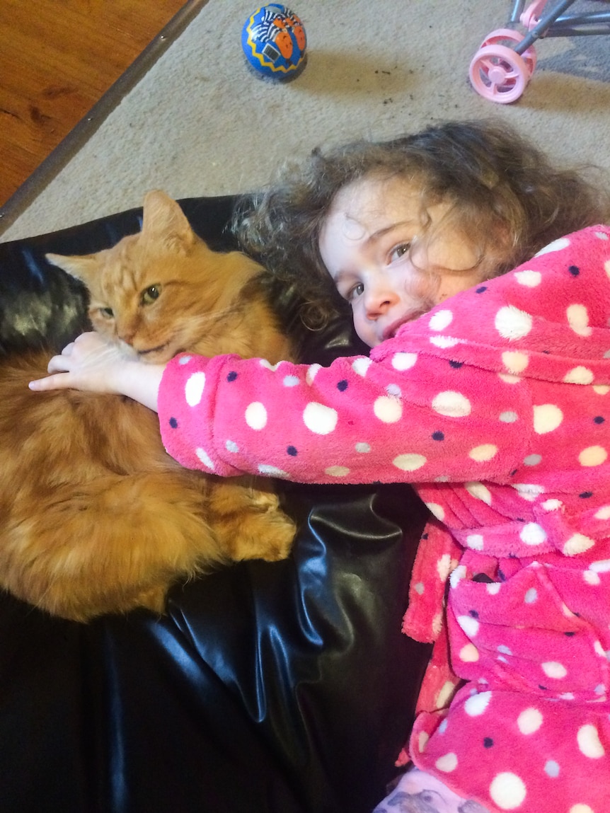 A young girl cuddles up beside an orange tabby cat on a black leather lounge.