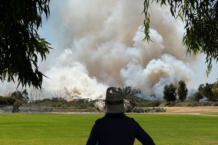 A person watches a large bushfire burning in the distance.