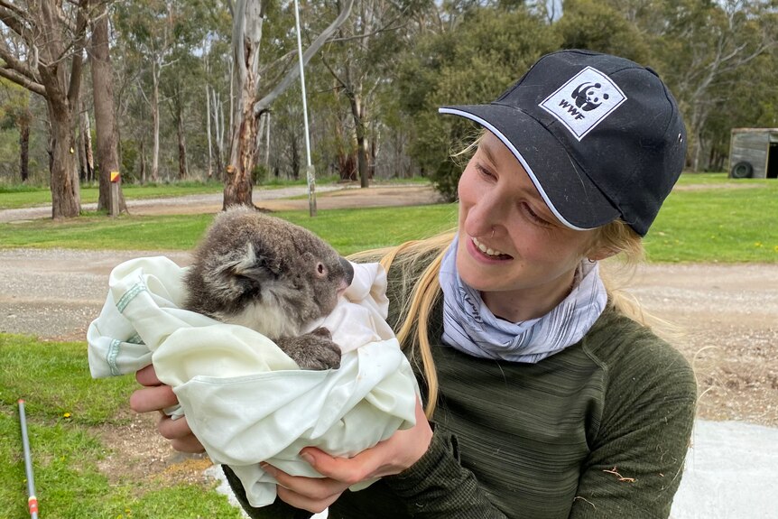 A young woman smiling while holding a koala wrapped in a cloth