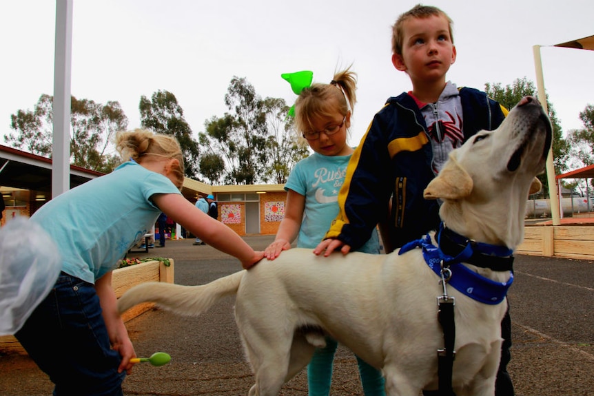 Three children petting Ajax in the school playground