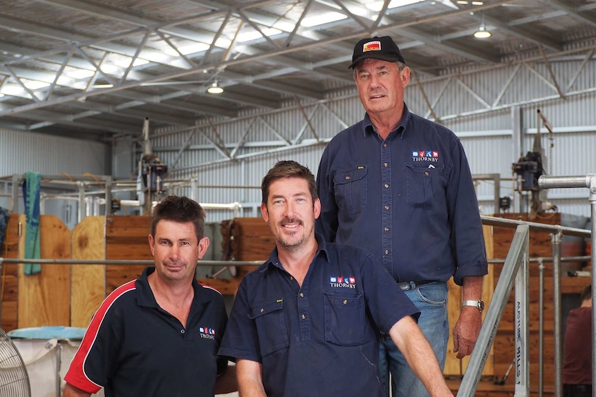 Three men in blue shirts